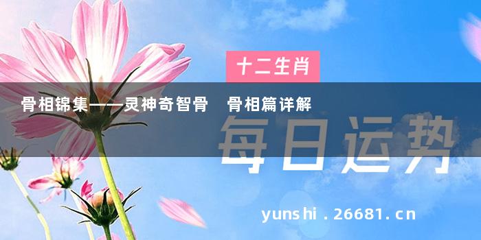 骨相锦集——灵神奇智骨 骨相篇详解